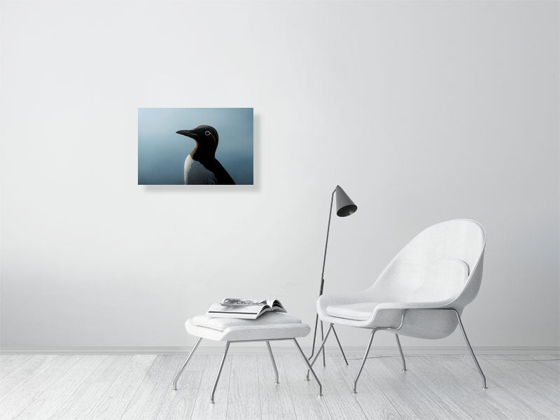 Blue portrait of a bridled common murre, hanging on a white wall