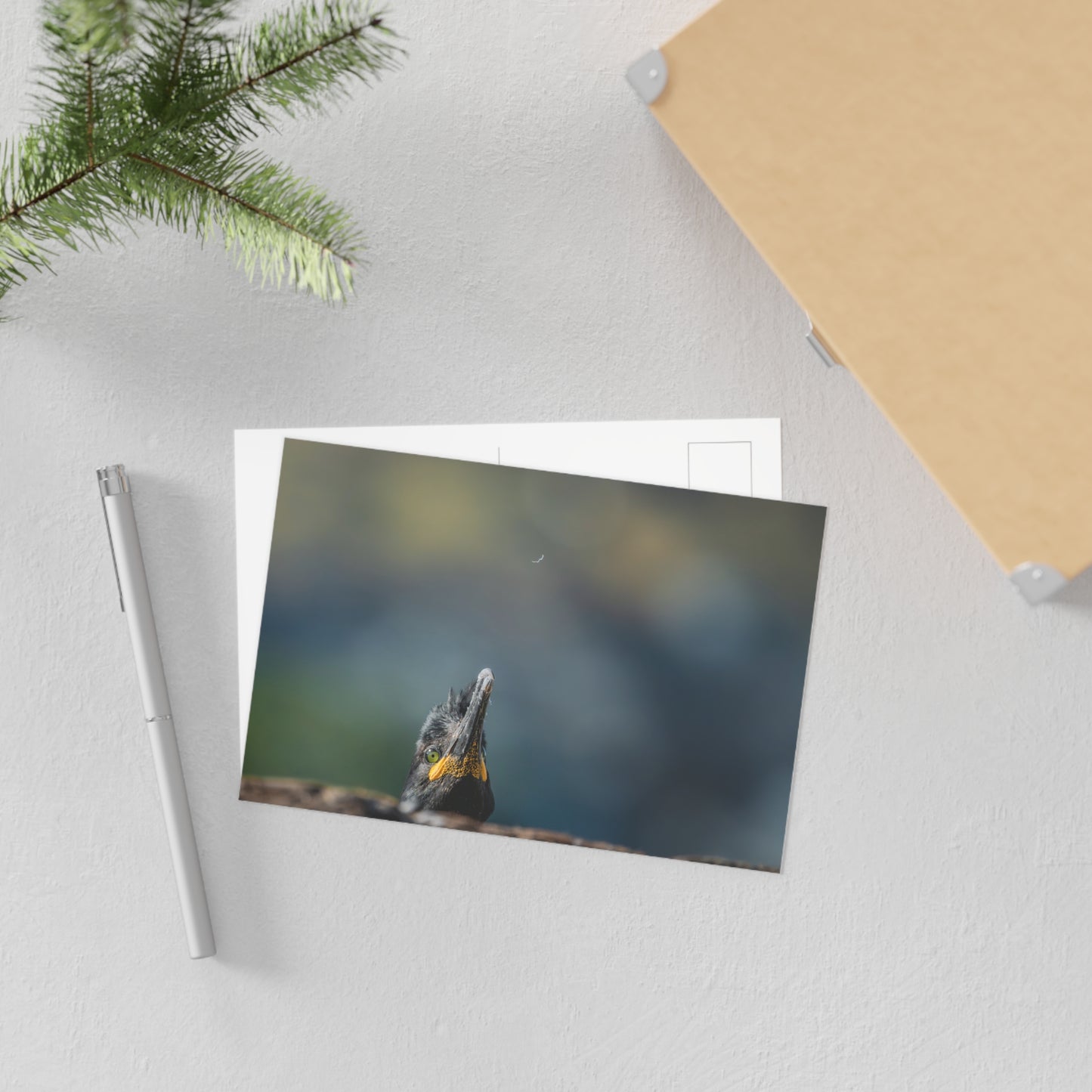 Peeping shag postcard on a desk