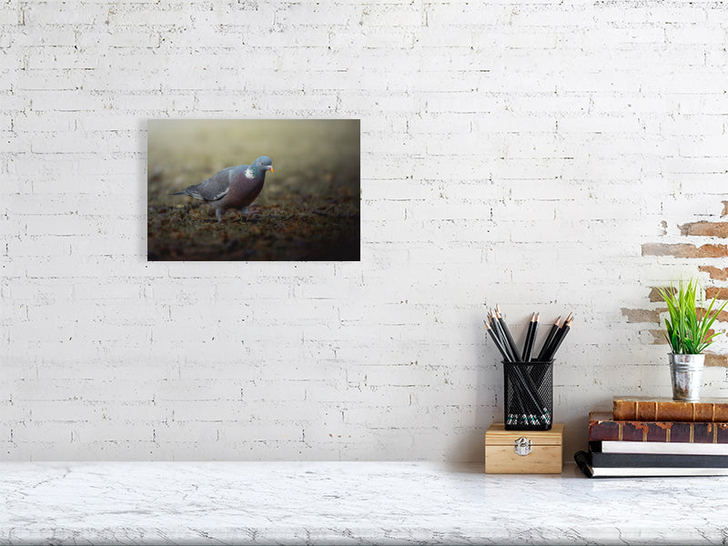 Wood pigeon print hanging on a brick wall.