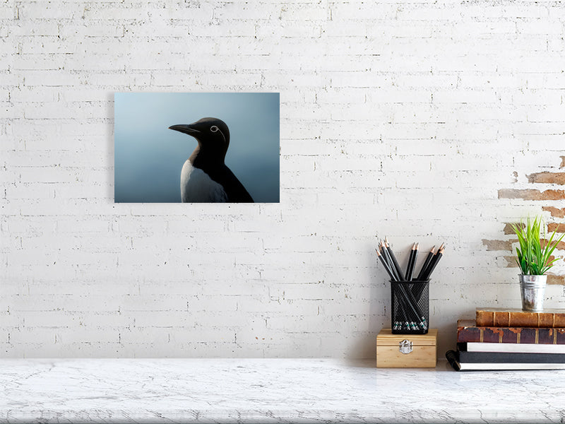 Blue portrait of a bridled common murre, hanging on a white brick wall