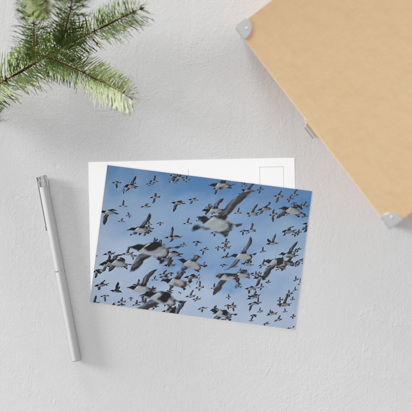 Lots of auks (black and white seabirds) flying across the sky. Picture is printed as a post-card, and laying on a desk with a pen next to it.