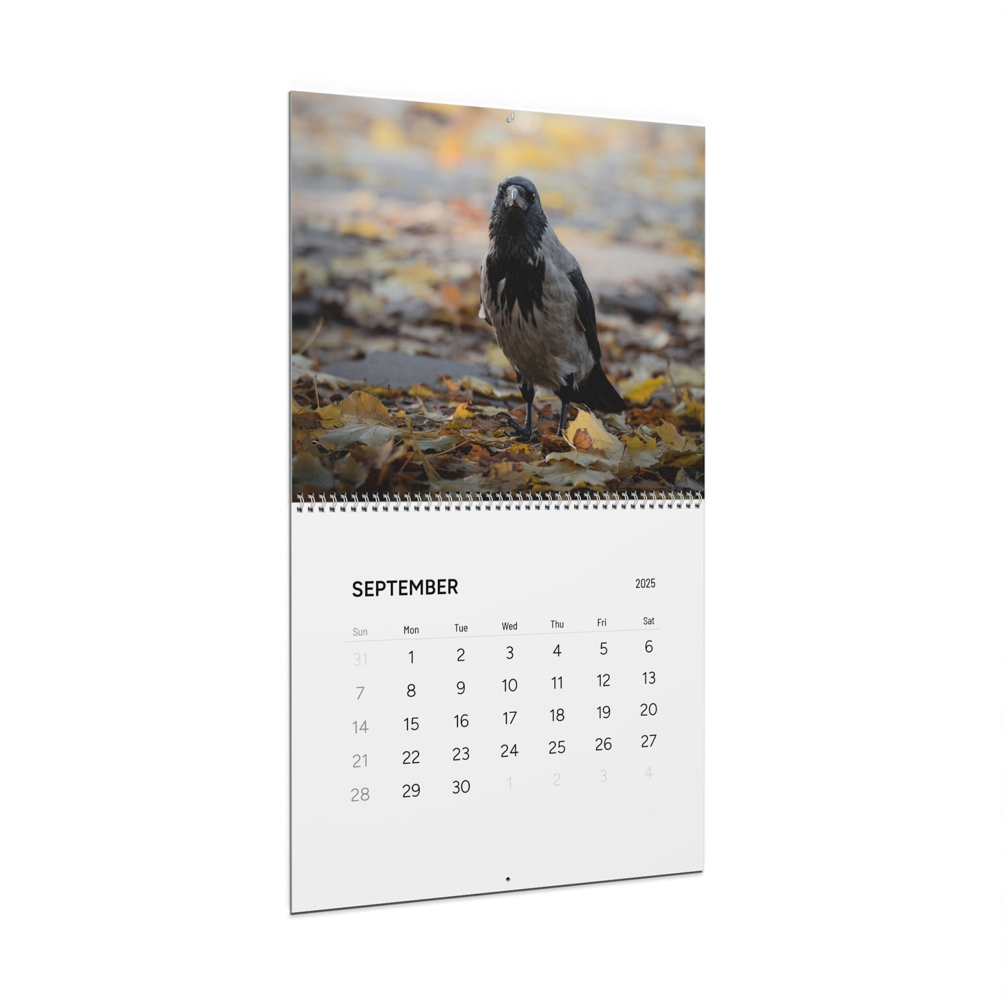 Wall calendar open on the month of September: The top picture is of a hooded crow, whose right foot is twisted upside down, and who's standing between yellow fall leafs.