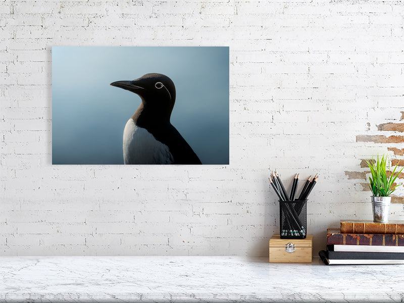 Blue portrait of a bridled common murre, hanging on a white brick wall