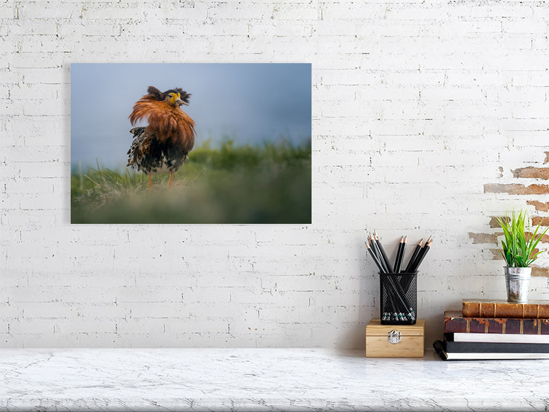 Ruff picture hanging on a white brick wall