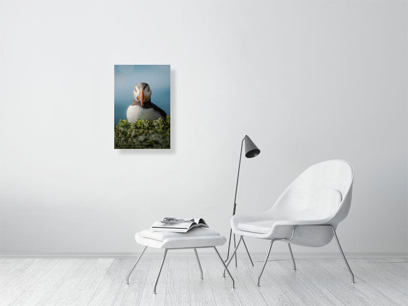 Puffin picture hanging on a wall