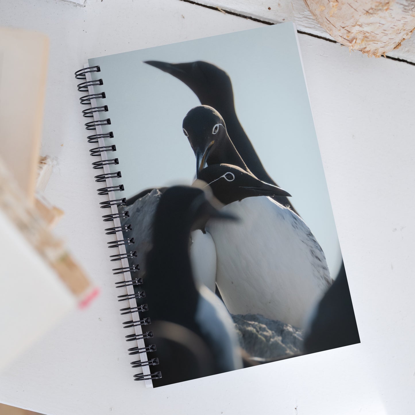 Spiral notebook with on the cover two bridled common murres cuddling and preening eachother