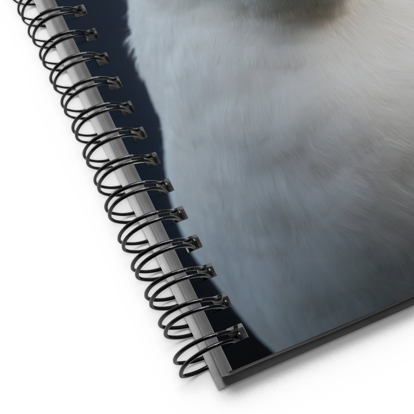 Herring Gull Gloria | Spiral notebook