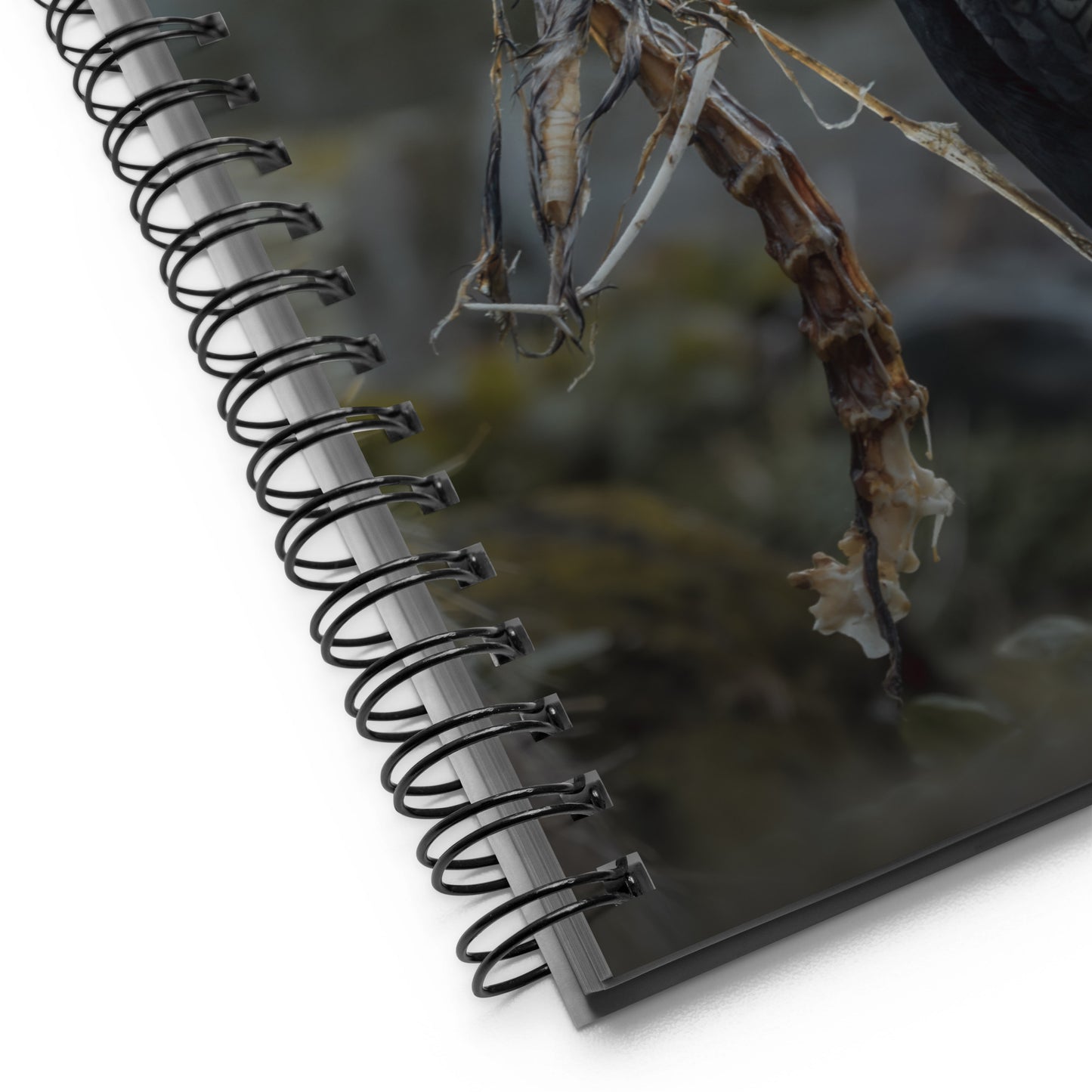 Close up of the spirals of the shag notebook