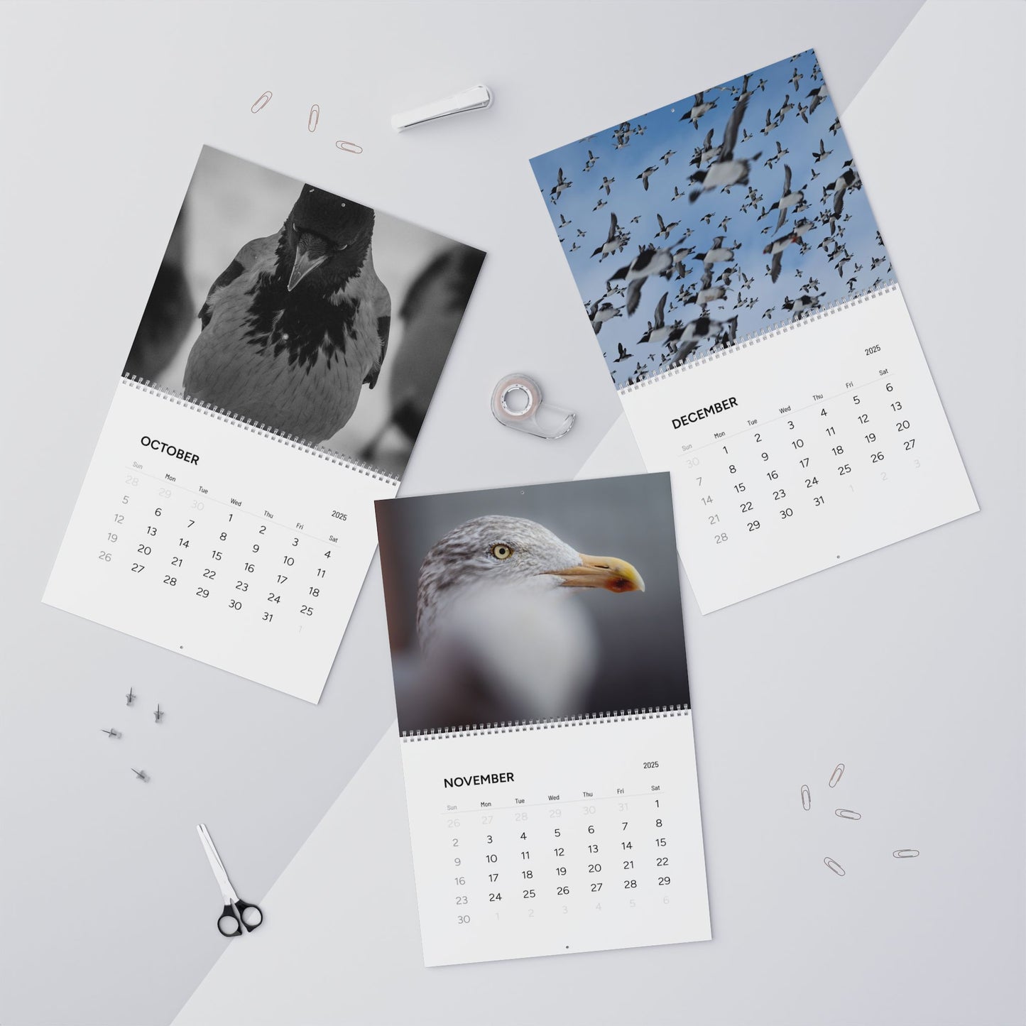 Favourite Birds - 2025 Calendar