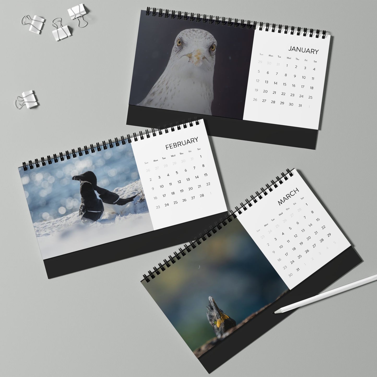 Favorite birds - 2025 Desktop Calendar