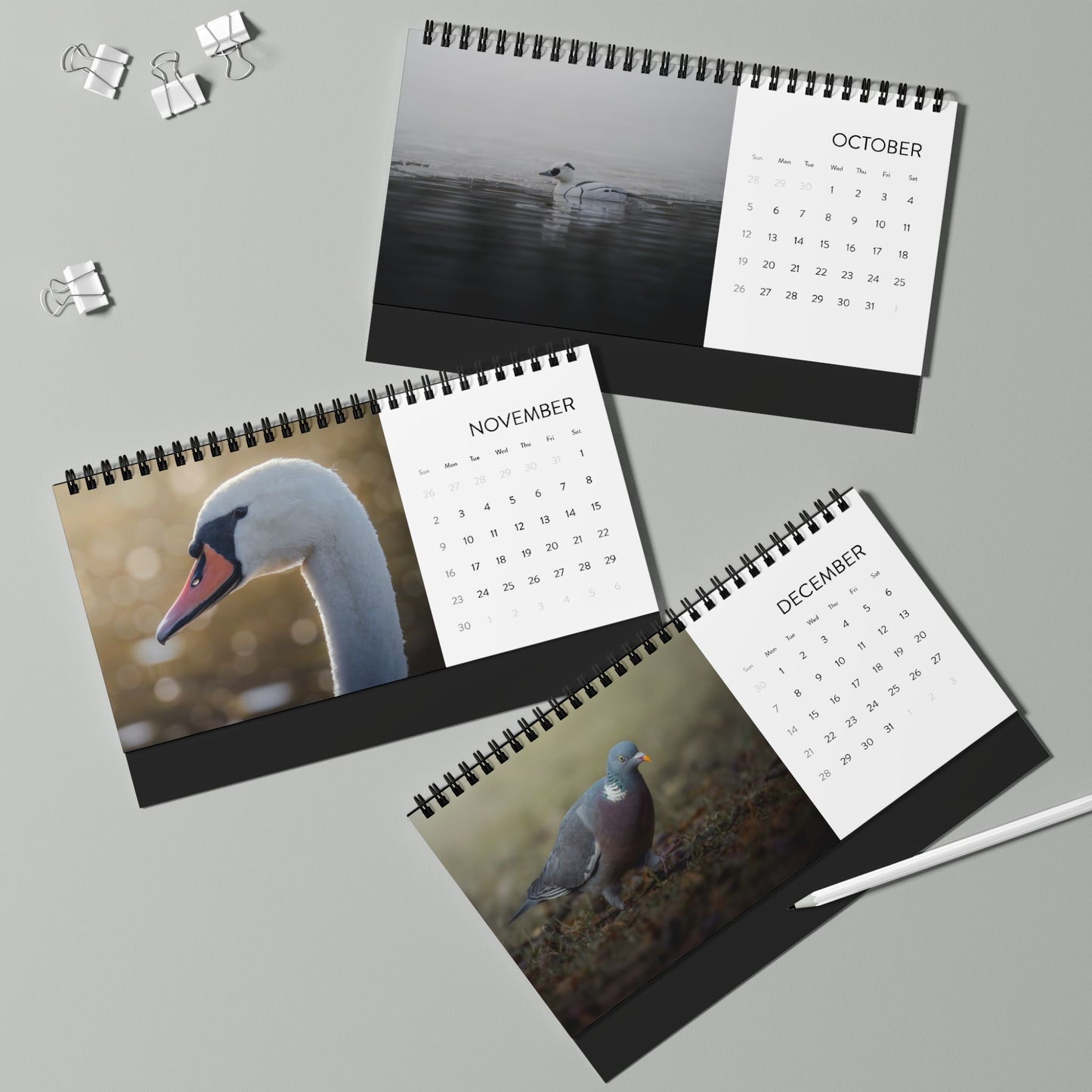 Birds of Oslo - 2025 Desktop Calendar