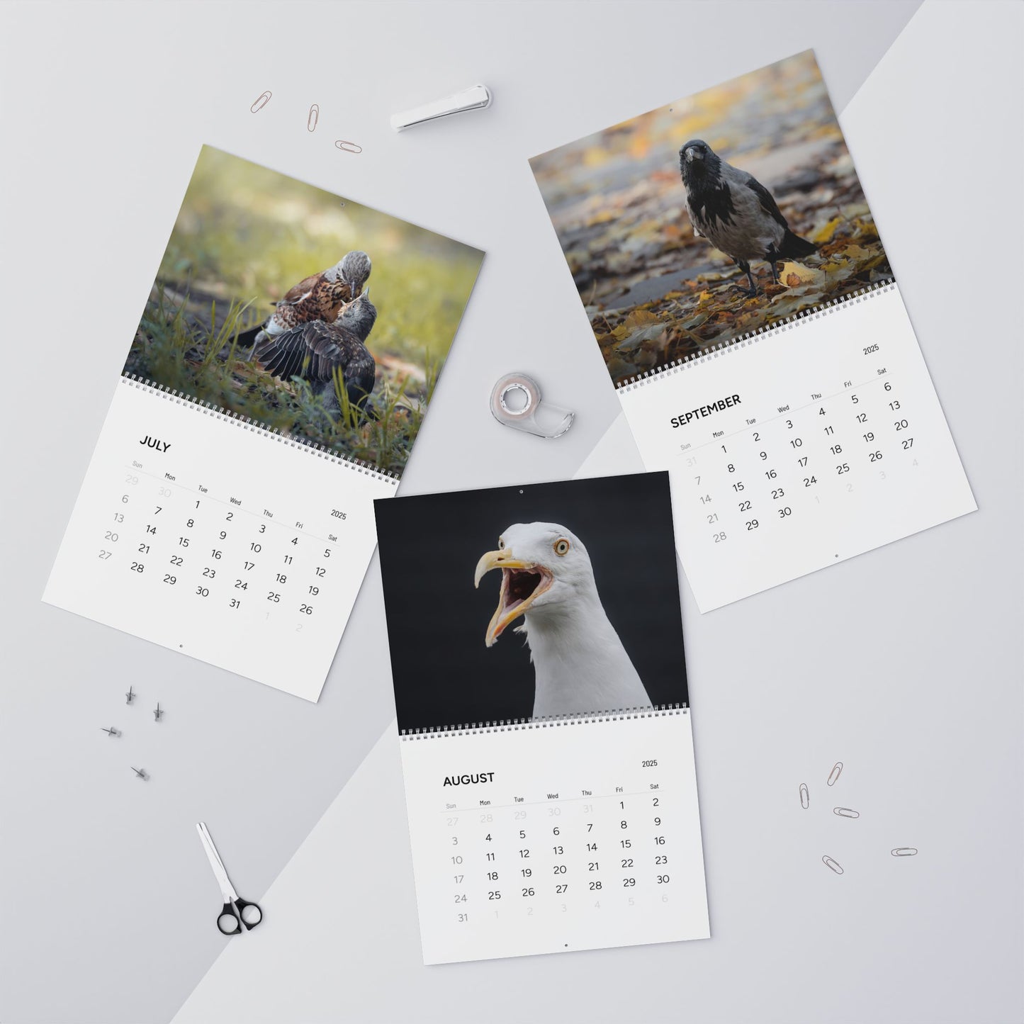 Birds of Oslo - 2025 Wall Calendar