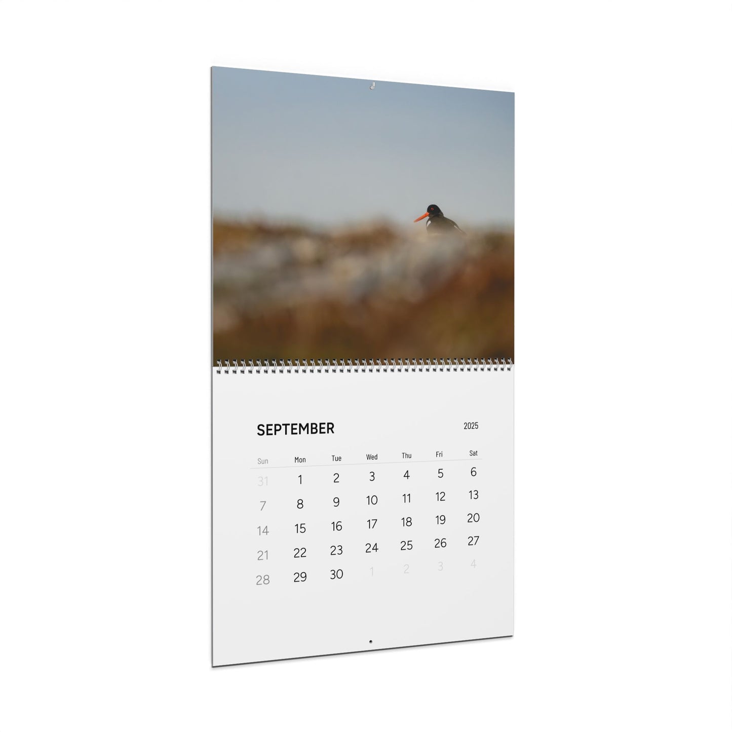 Favourite Birds - 2025 Calendar