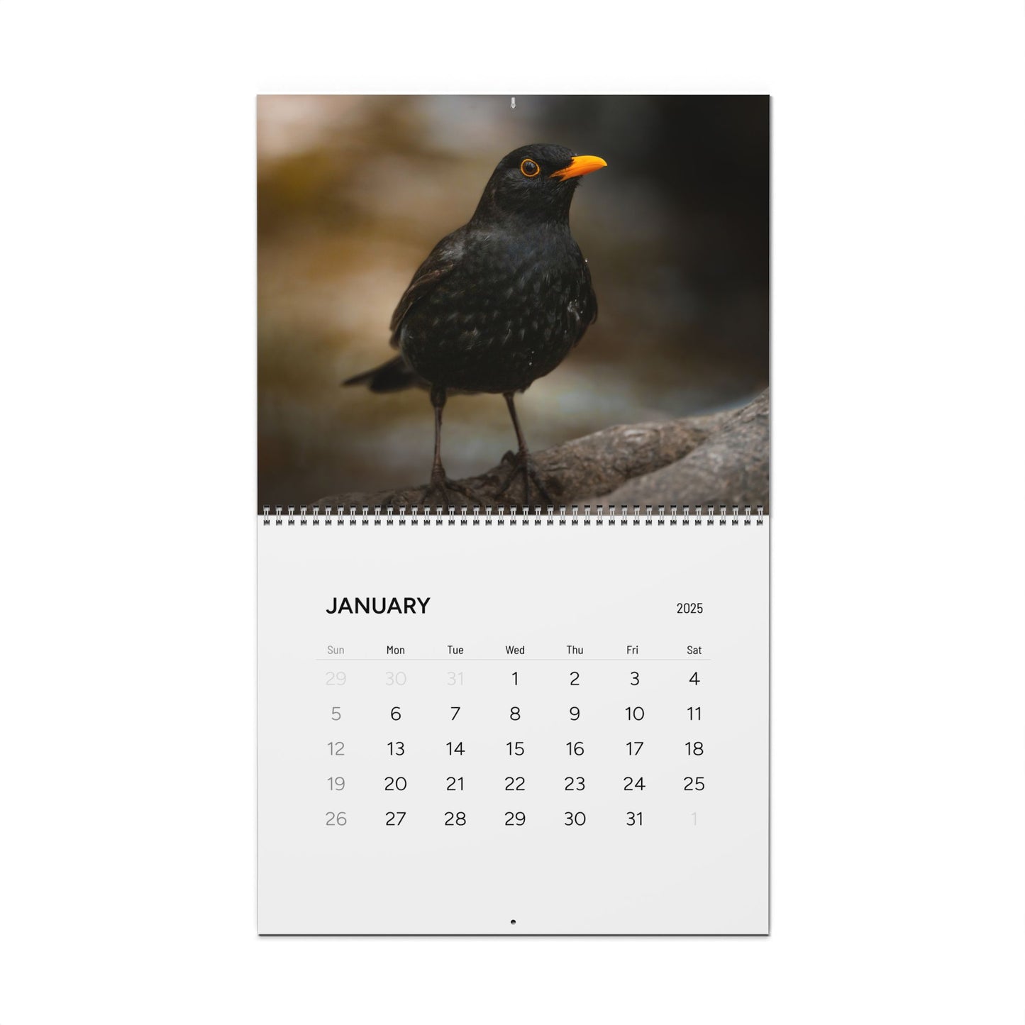 Birds of Oslo - 2025 Wall Calendar