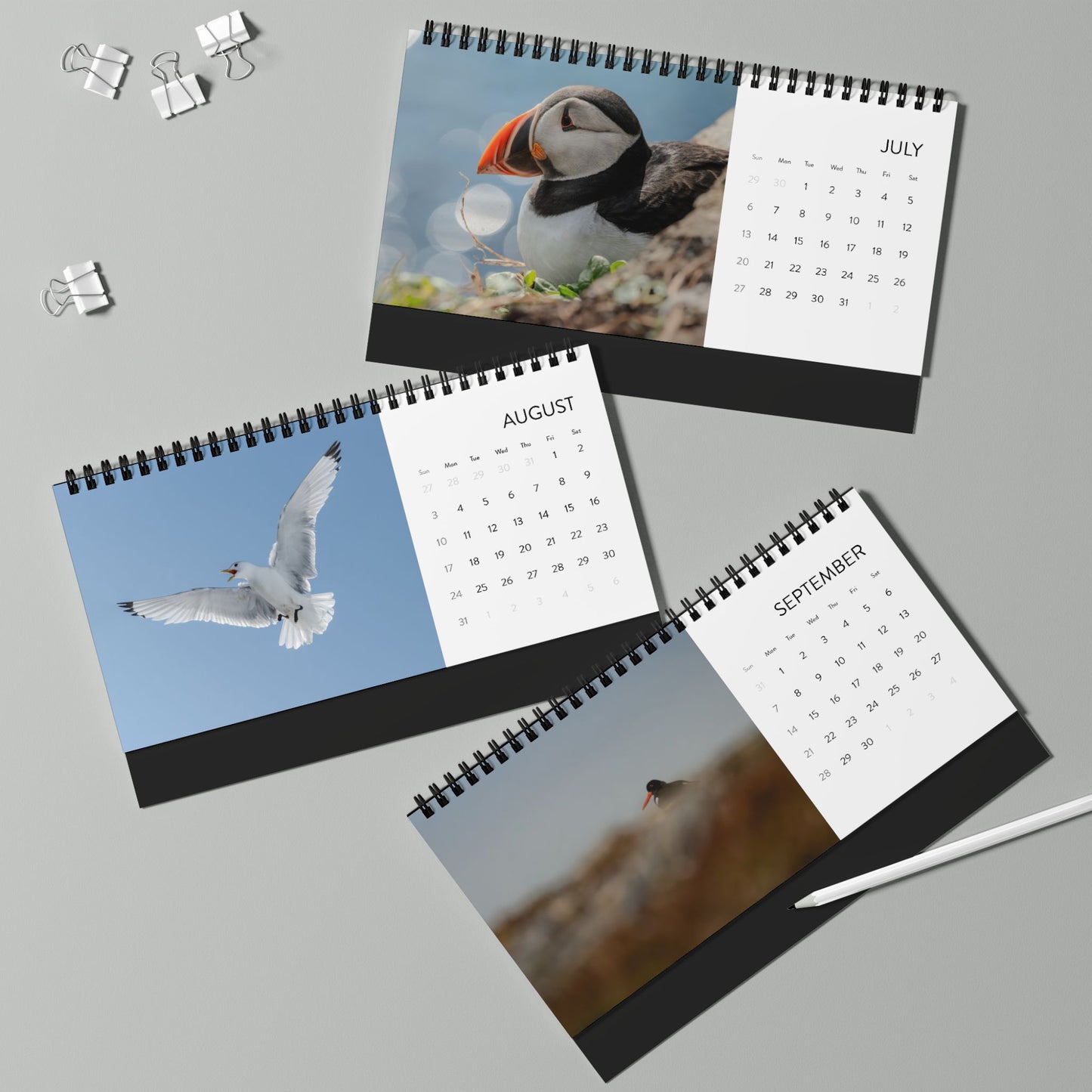 Favorite birds - 2025 Desktop Calendar