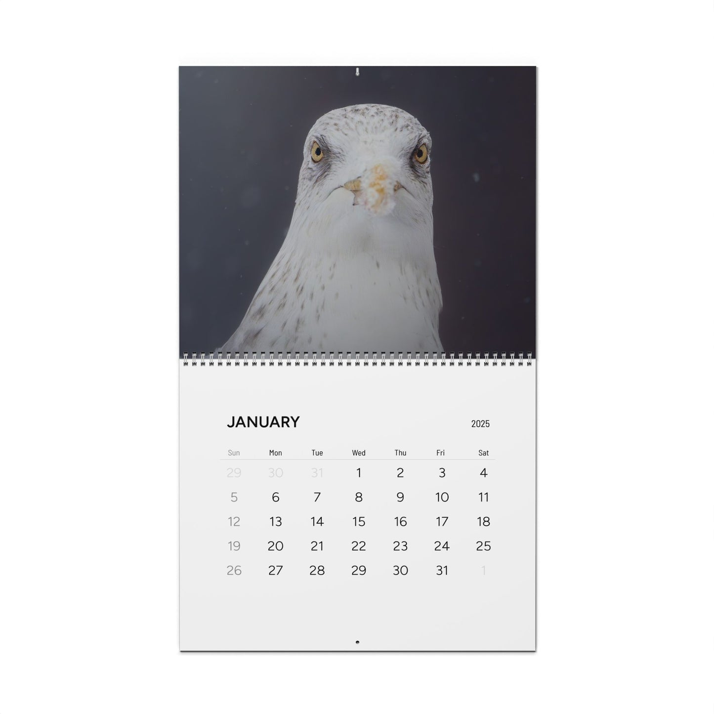 Favourite Birds - 2025 Calendar