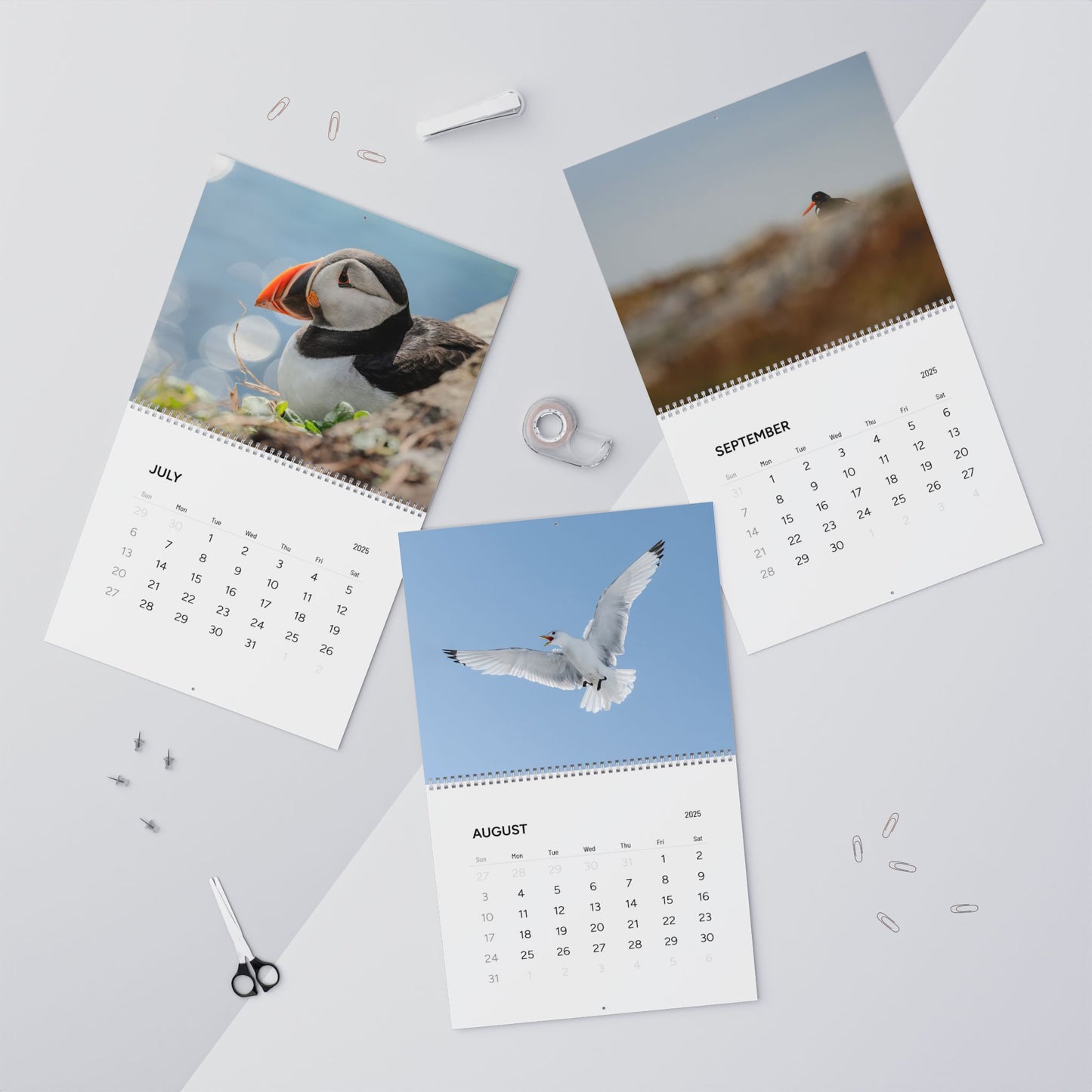 Favourite Birds - 2025 Calendar