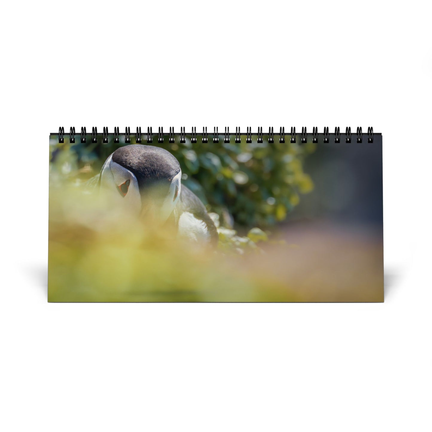 Favorite birds - 2025 Desktop Calendar