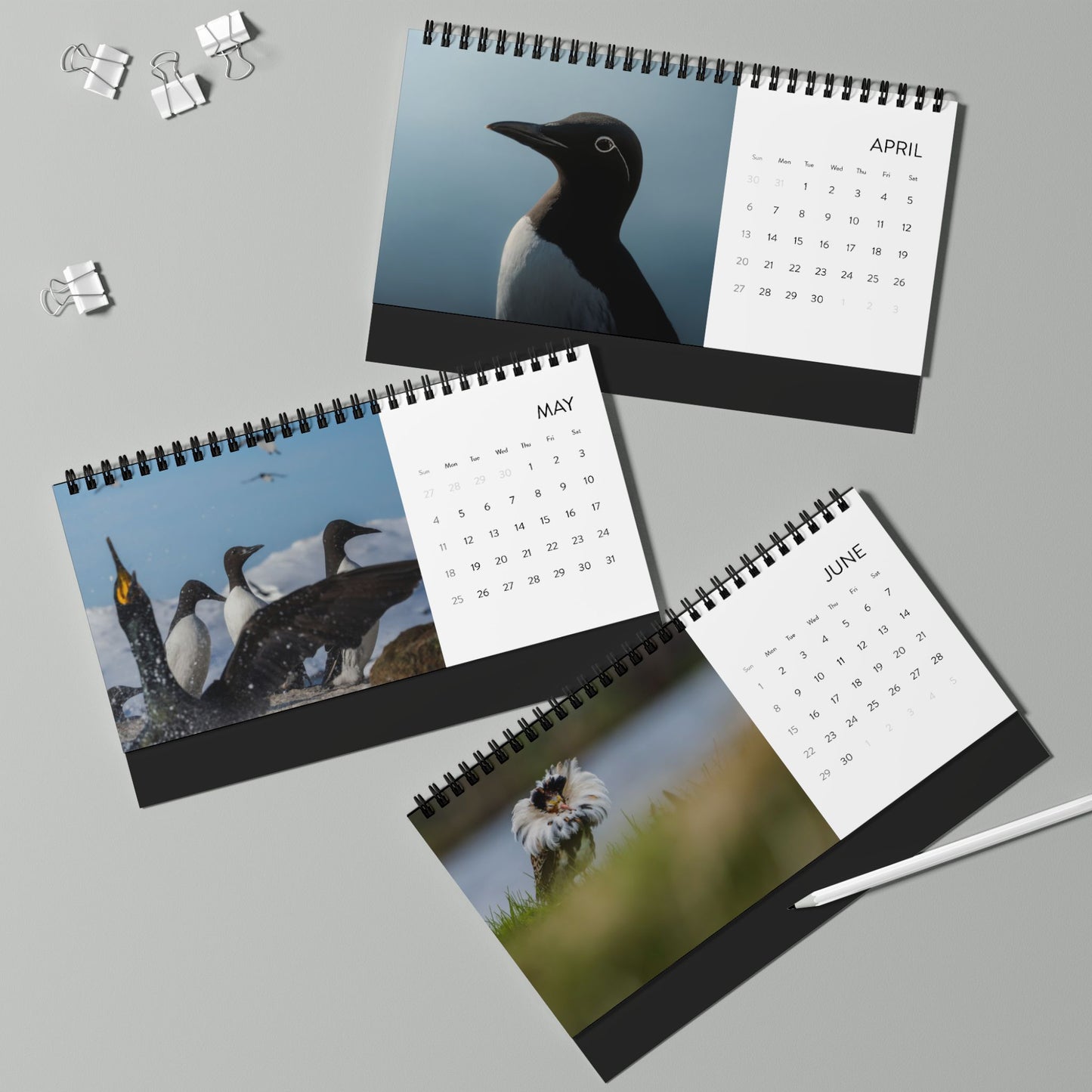 Favorite birds - 2025 Desktop Calendar