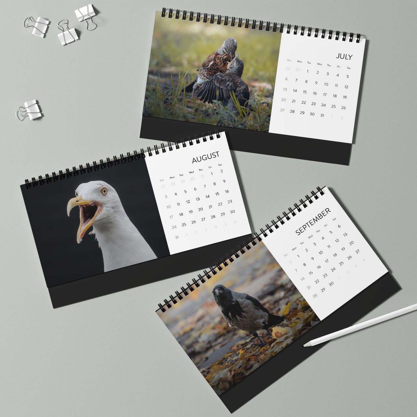 Birds of Oslo - 2025 Desktop Calendar