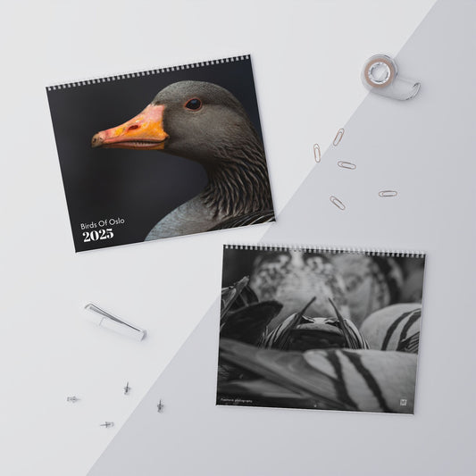 Birds of Oslo - 2025 Wall Calendar