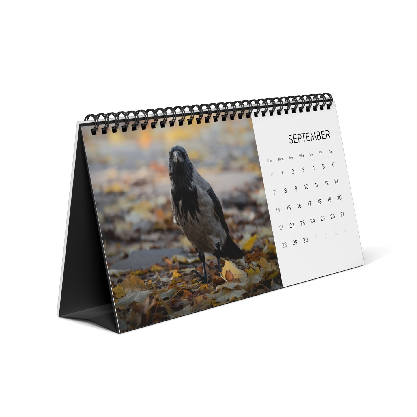 Birds of Oslo - 2025 Desktop Calendar