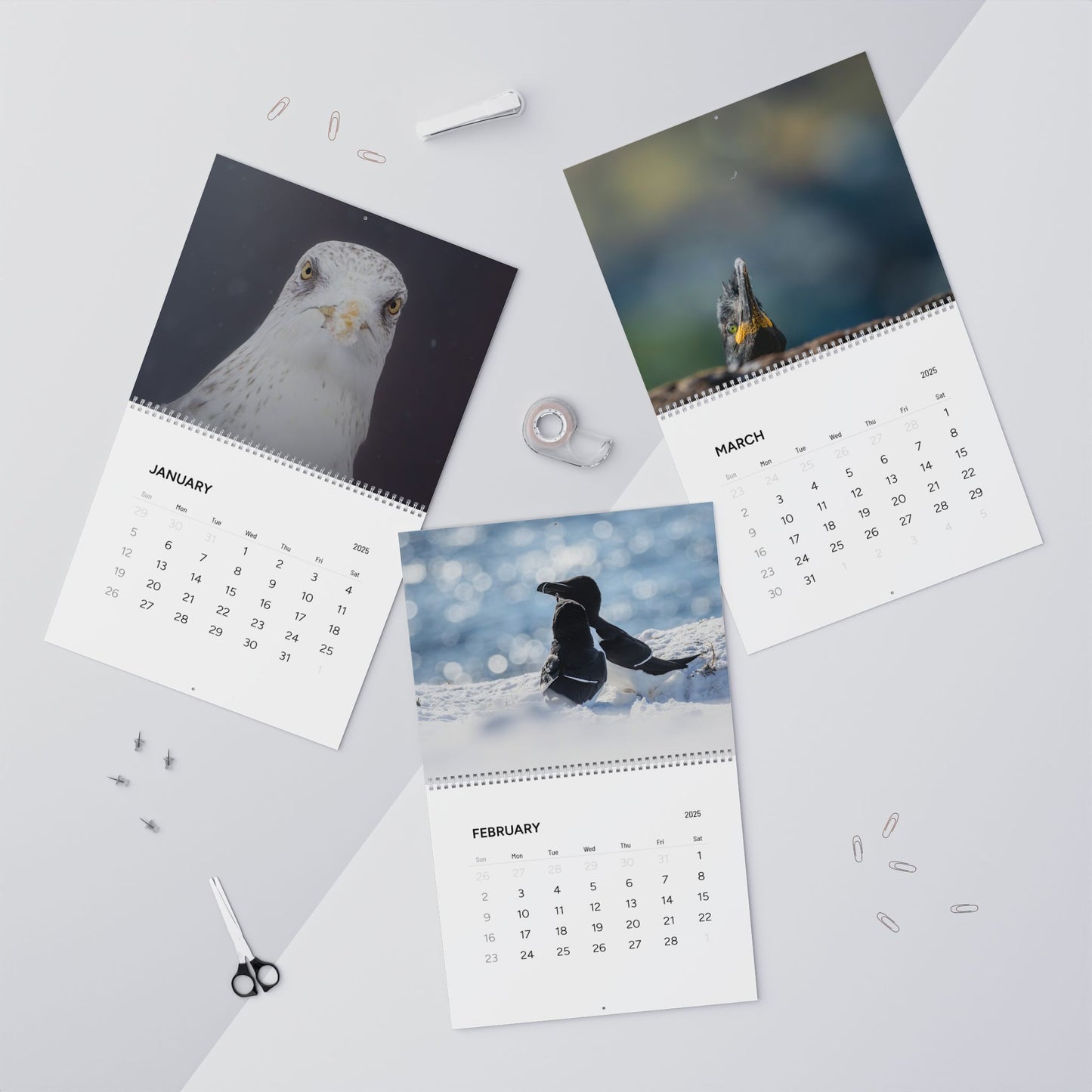 Favourite Birds - 2025 Calendar