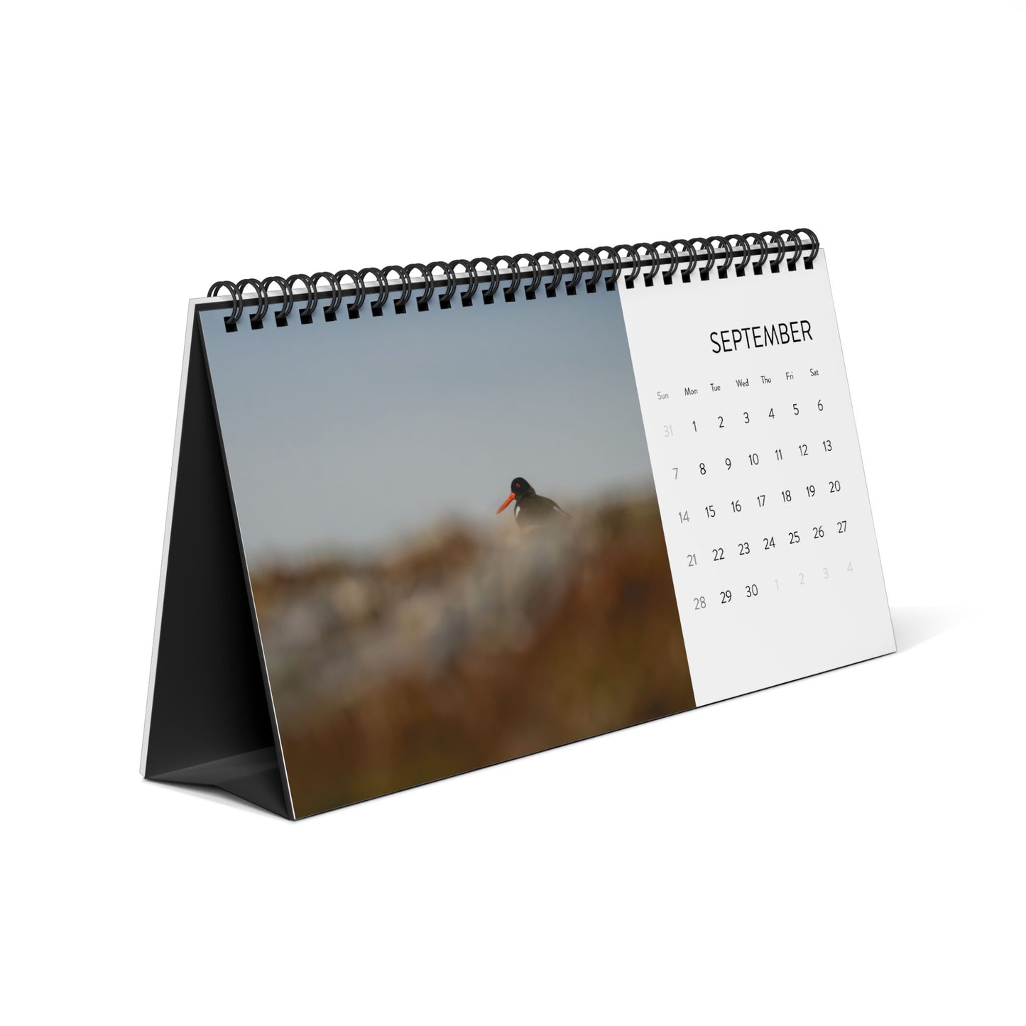 Favorite birds - 2025 Desktop Calendar