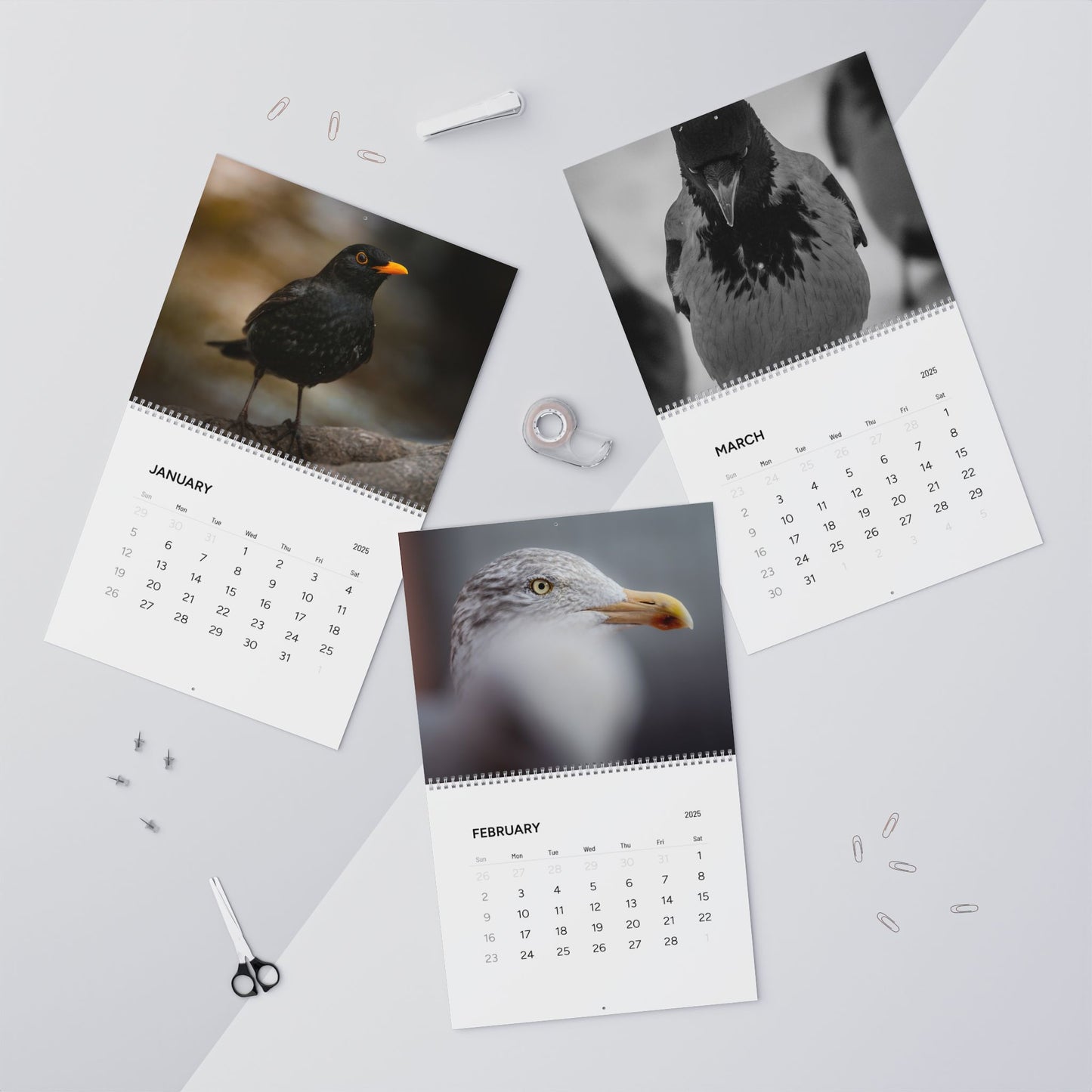 Birds of Oslo - 2025 Wall Calendar