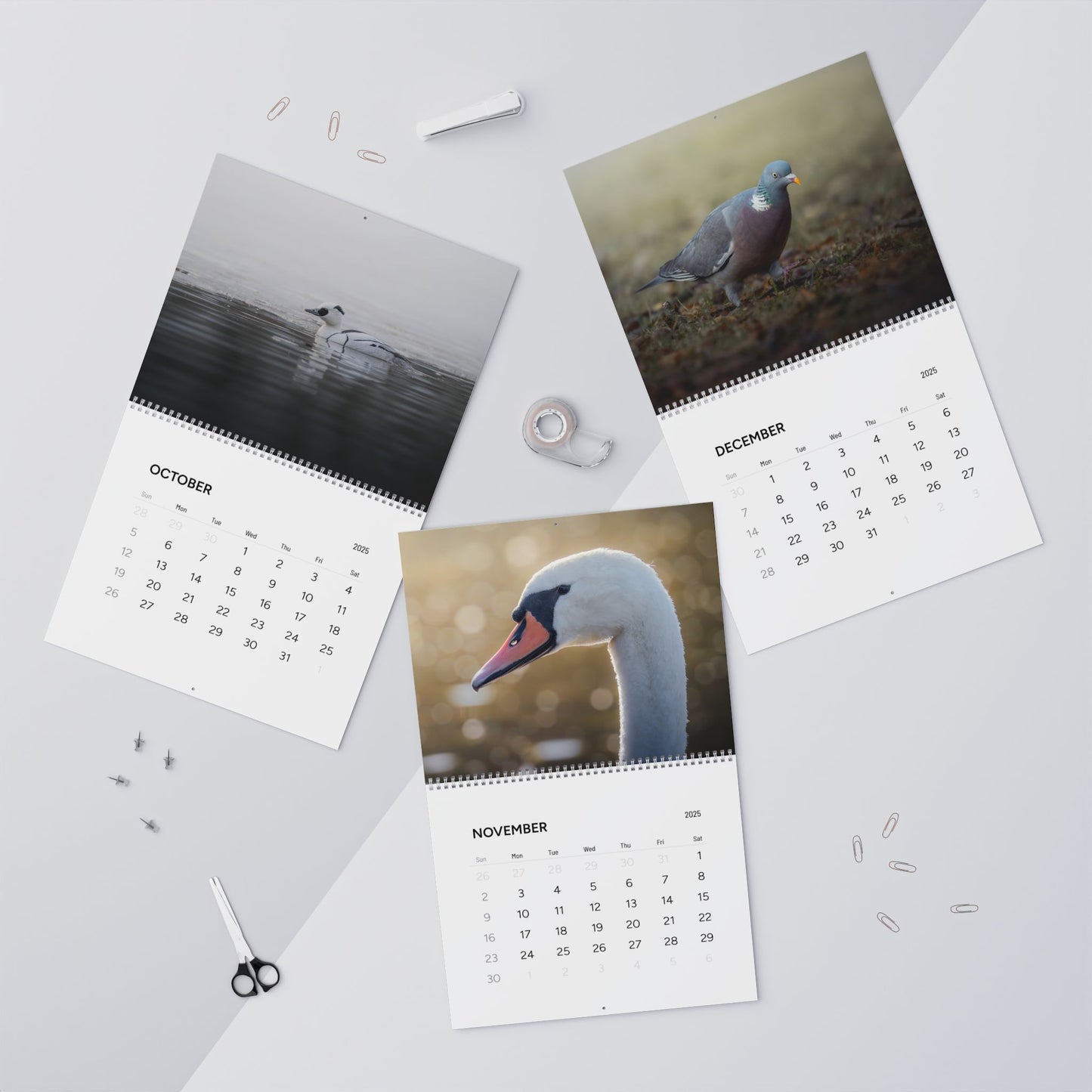 Birds of Oslo - 2025 Wall Calendar