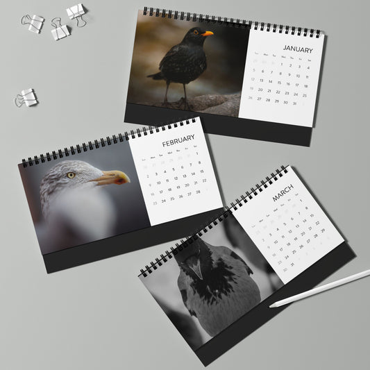 Birds of Oslo - 2025 Desktop Calendar