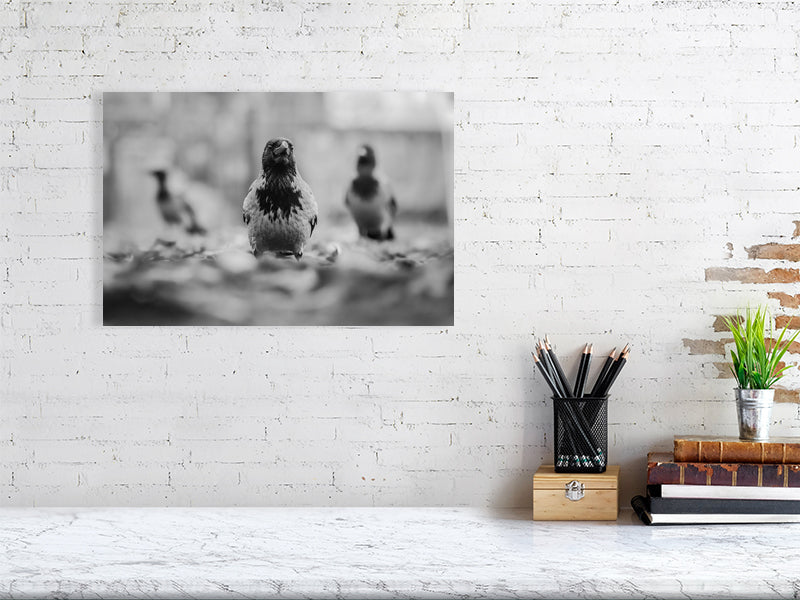 Medium sized print of the crow gang, hanging on a white brick wall