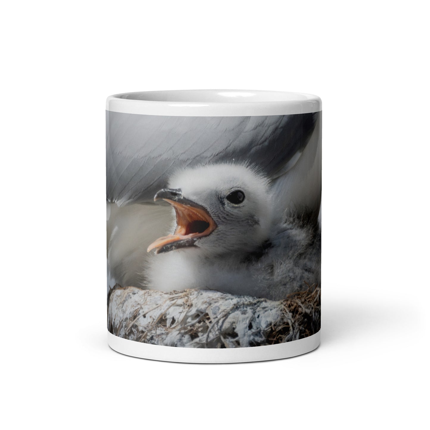 Kittiwake chicks in Vardø | White glossy mug