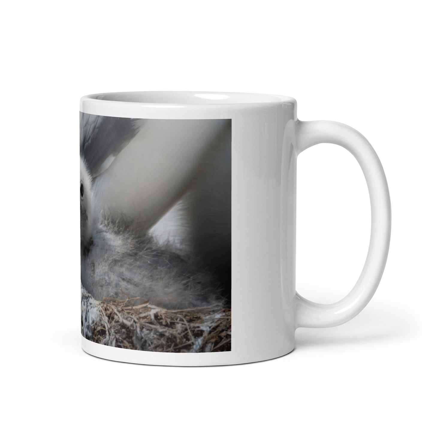 Kittiwake chicks in Vardø | White glossy mug